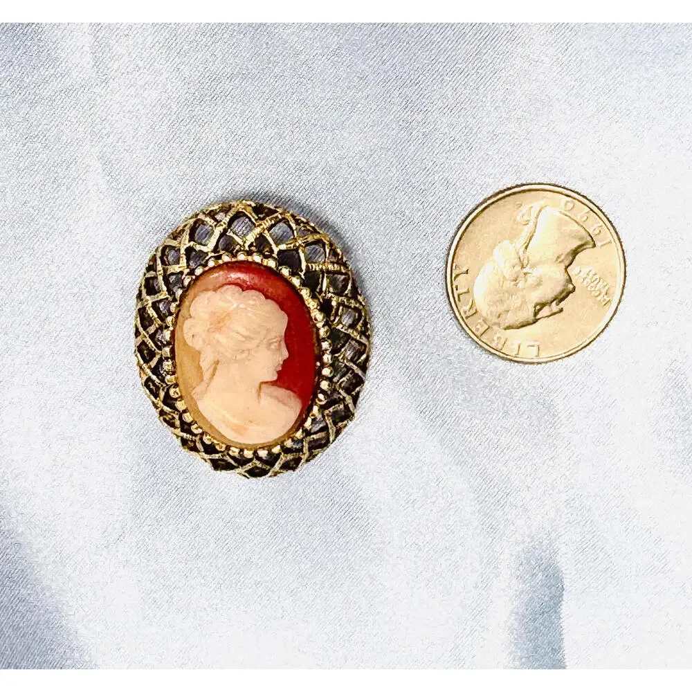 Vintage Light Red Stone w/ Right Facing Cameo on Bronze Basket Weave Trim Brooch